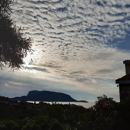 Oasi Nel *