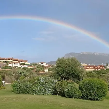 Oasi Nel *